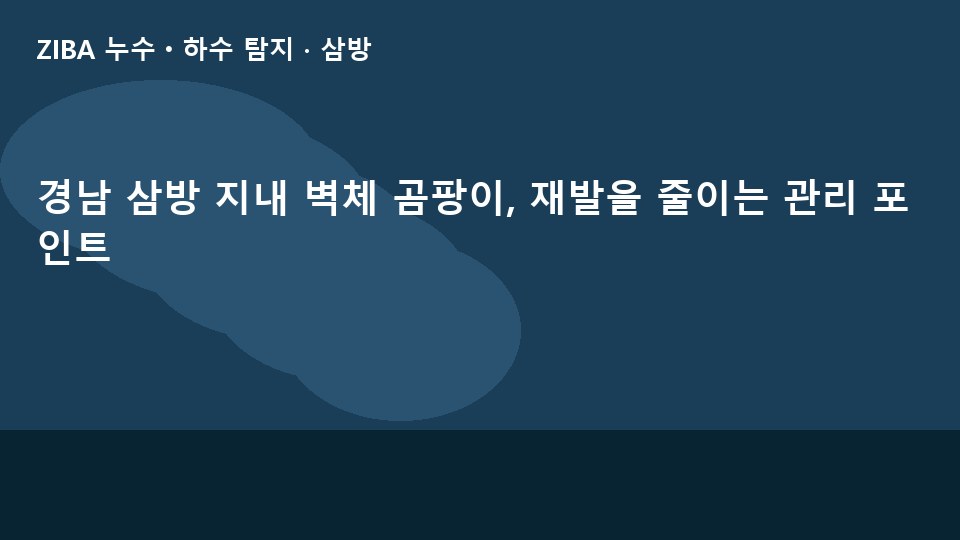 경남 삼방 지내 벽체 곰팡이, 재발을 줄이는 관리 포인트